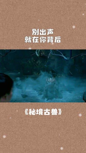 可爱的小考拉